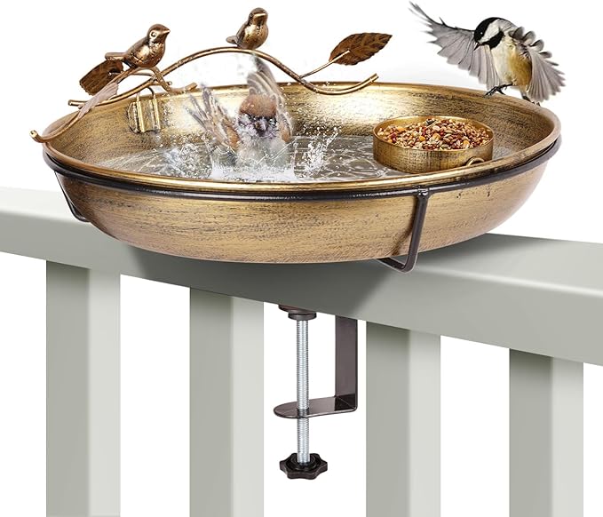Backyard Birding & Wildlife