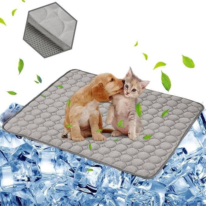 Beds & Furniture