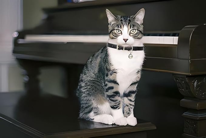 Blue Puppy Collar with Bell, Soft Pu Leather Cat Collars Adjustable Buckle - Image 3