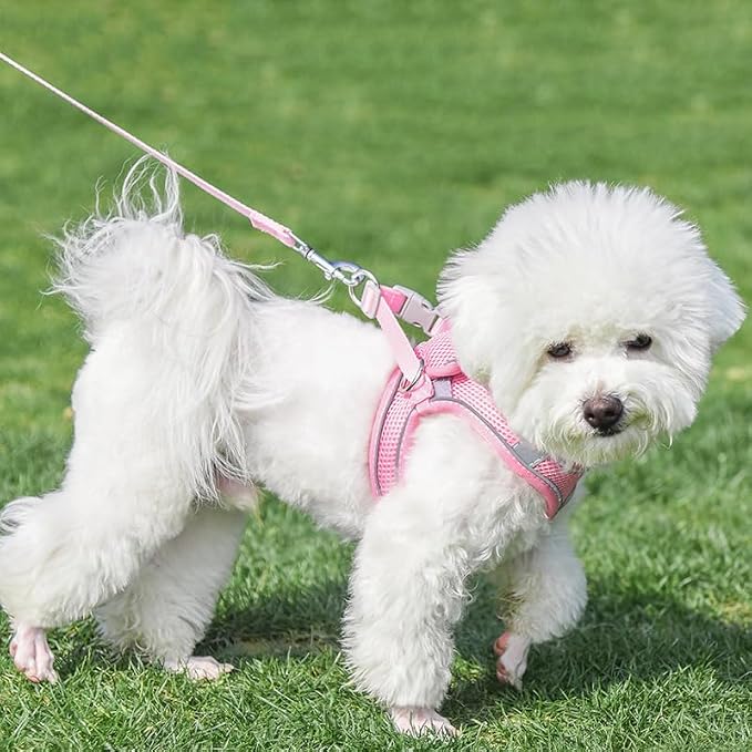 AIITLE Comfortable Dog Harness and Leash Set - Image 8