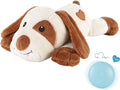 Heartbeat Dog Toy for Puppy- Helps for Dog Anxiety Relief and Calming Aid by WEOK