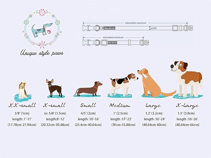 Unique Style Paws Dog Collar - Image 5