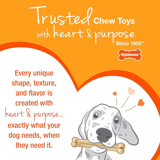 Nylabone Textured Bone Power Chew Toy - Image 10