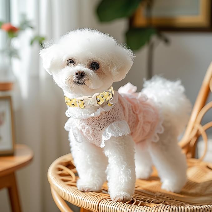 Bee & Daisy Dog Collar for Large Dogs - Image 5