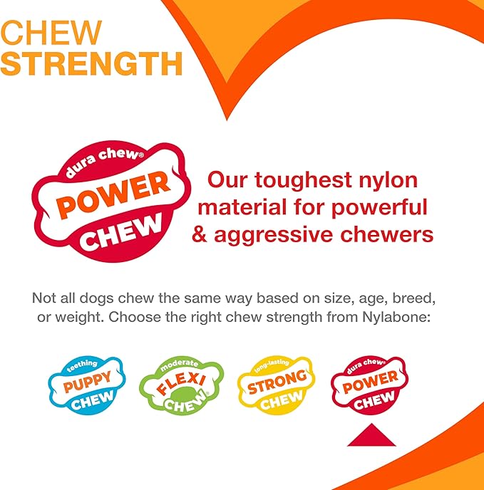 Nylabone Original Bone Power Chew Toy - Image 7