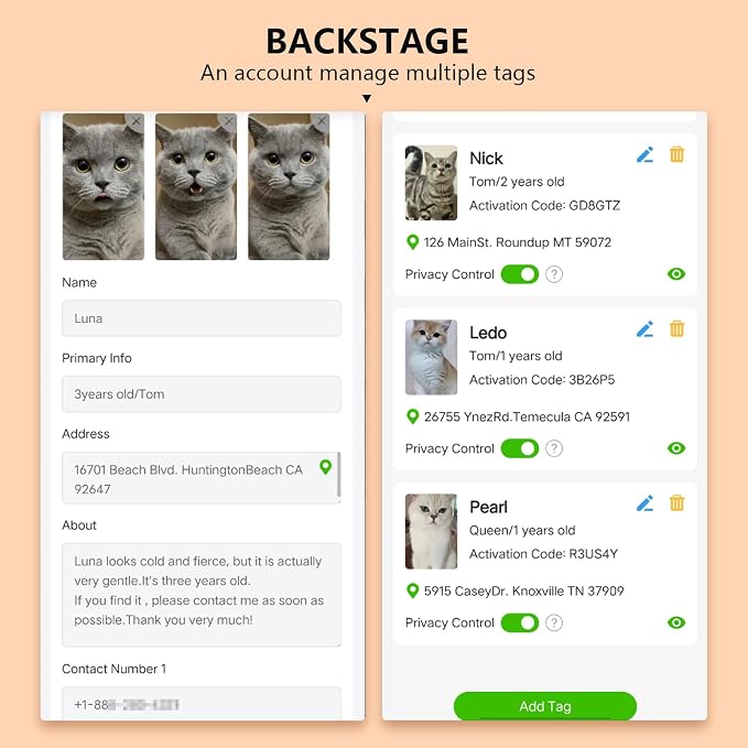 Smart Lost & Found System: Breakaway Cat Collar - Image 9