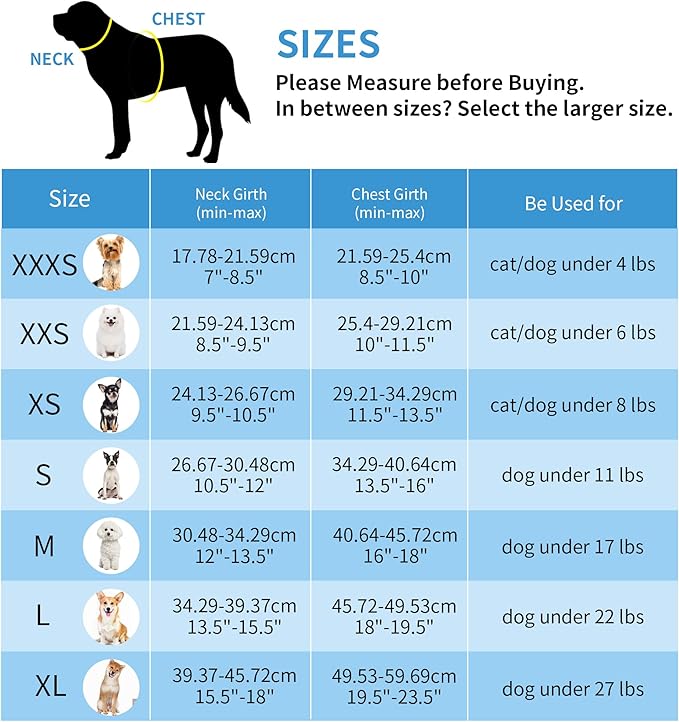 AIITLE Step in Dog Harness and Leash Set - Image 11