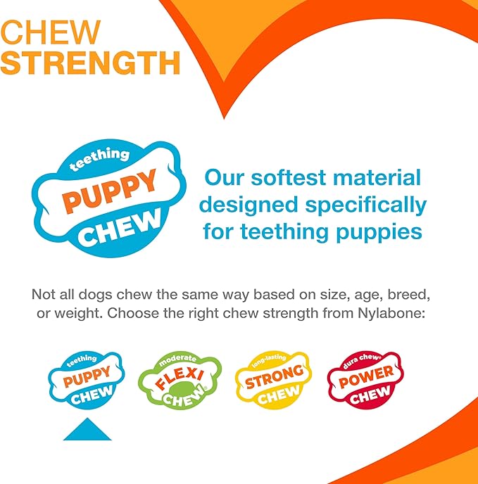 Nylabone Dental Dinosaur Puppy Power Chew Toy, Soothing Puppy Teething Bone - Image 3