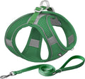 AIITLE Step in Dog Harness and Leash Set by AIITLE-FORPETSBETTERLIFE