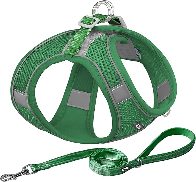 AIITLE Comfortable Dog Harness and Leash Set by AIITLE-FORPETSBETTERLIFE