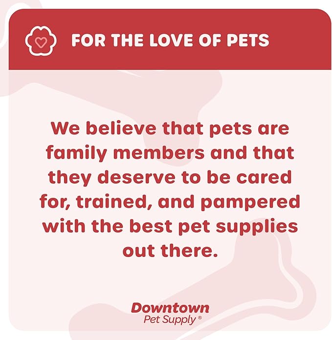 Downtown Pet Supply Step in Dog Harness No Pull, Hunter Green - Image 8