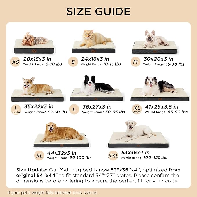 Bedsure Dog Beds Large Sized Dog - Image 7