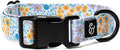 Lucy & Co. Among The Wildflowers Dog Collar by LucyCo