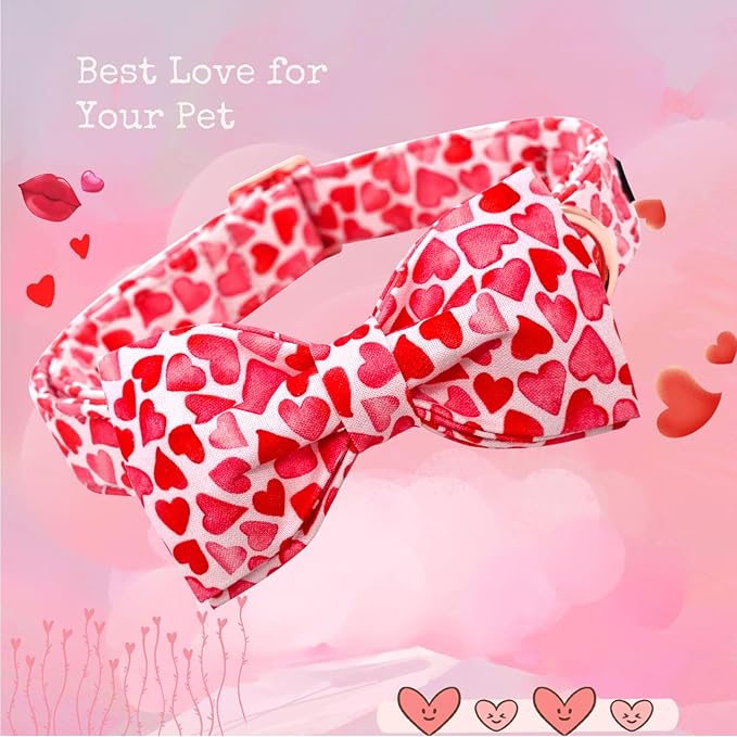 Lionheart Glory Valentine's Day Dog Collar - Image 3