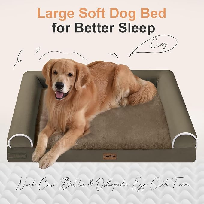 Small Dog Bed Orthopedic Washable: Beds Bolster Small Sized Dogs Cats Bed Egg - Image 2