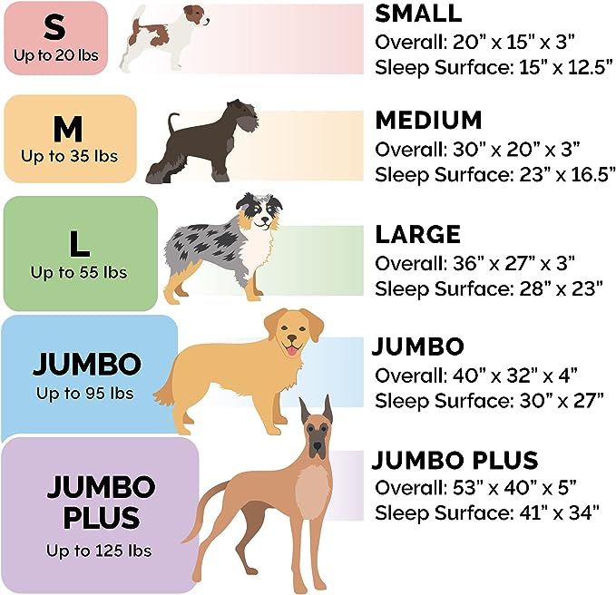 Furhaven Orthopedic Dog Bed for Large/Medium Dogs w/ Removable Bolsters & - Image 6