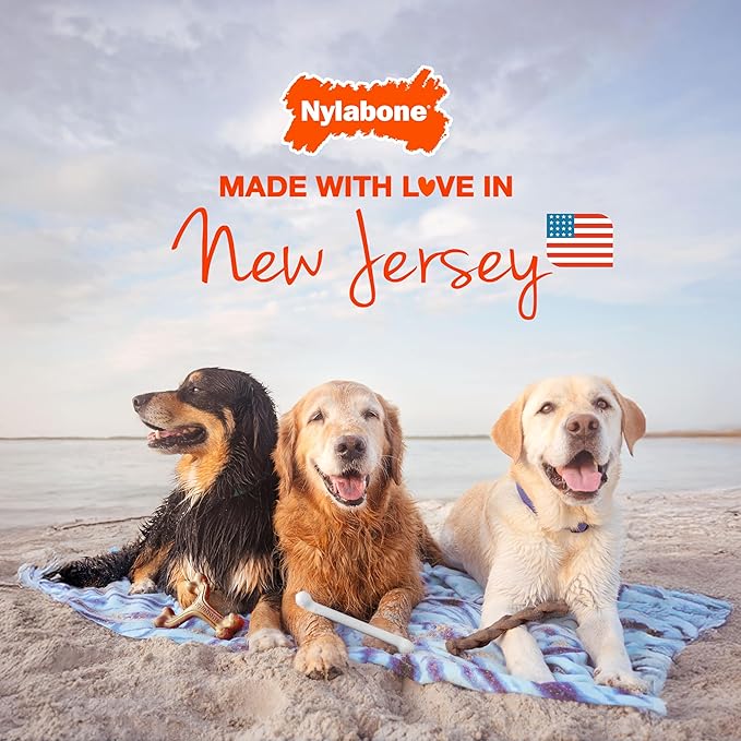 Nylabone Customer Favorites Power Chew Toy Bundle - Image 9