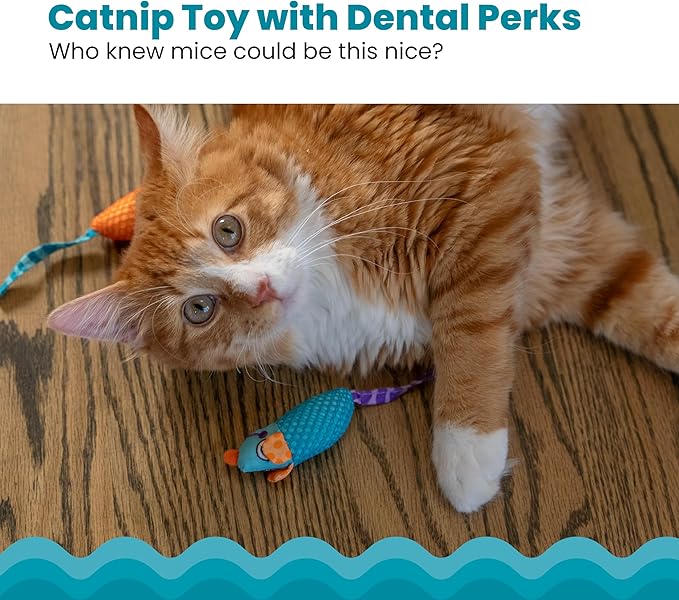 Catstages Catnip Chew Mice 2 Pack– Interactive Dental Cat Chew Toy that Helps - Image 2