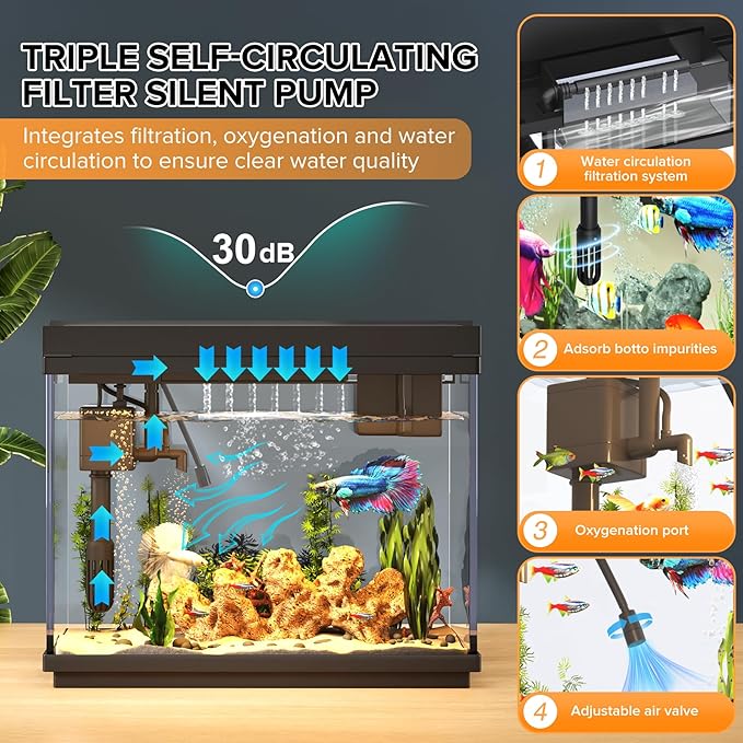 Fish Tank 2.4 Gallon Aquarium - Image 3