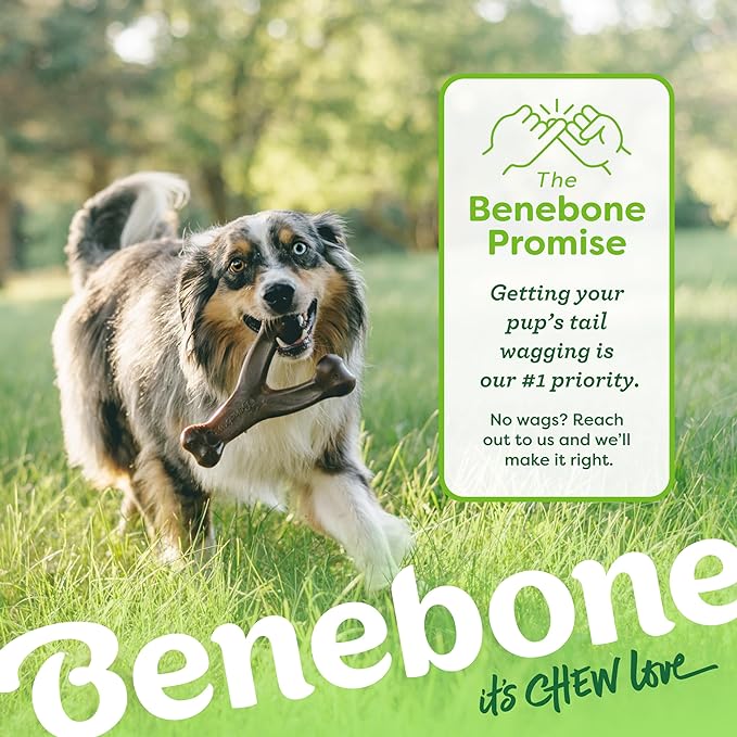 Medium 3-Pack, Benebone Wishbone Durable Dog Chew Toy - Image 6