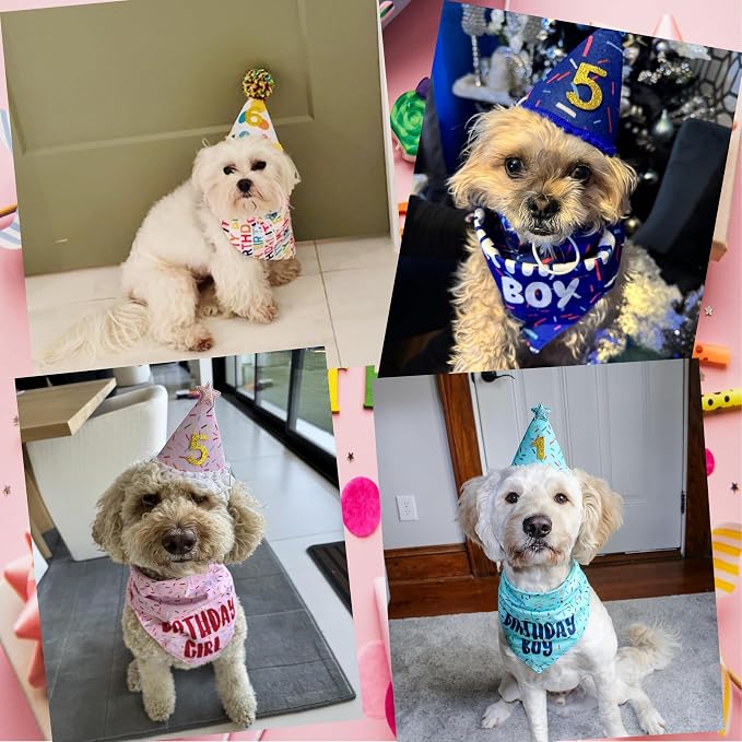 Dog Birthday Bandana Set, Rose Pink Birthday Girl Decorations, HBD Party - Image 6