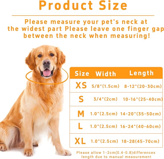 Dog Collar, Daisy Boys Girls Puppy Collar - Image 3
