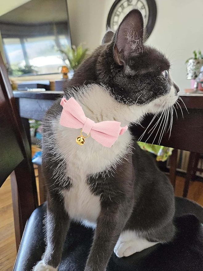 Cotton Breakaway Cat Collar - Image 4