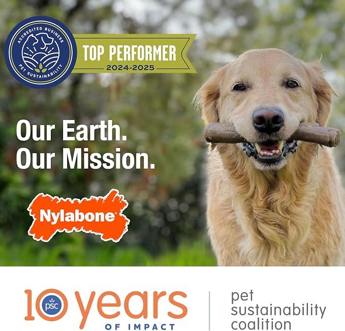 Nylabone Textured Bone Power Chew Toy - Image 15