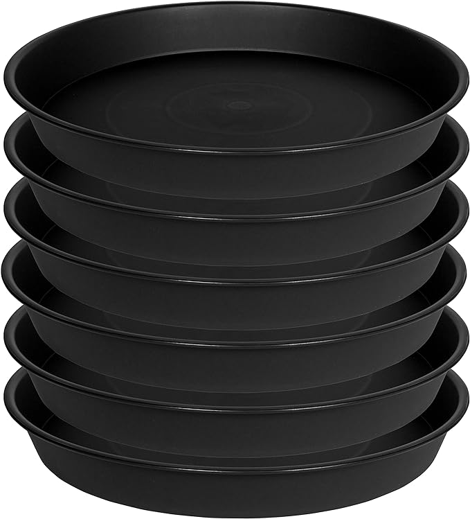 6 Pack of 8 inch Plant Saucer, Heavy Duty Plastic Plant Water Tray, Pebble Tray - Image 8