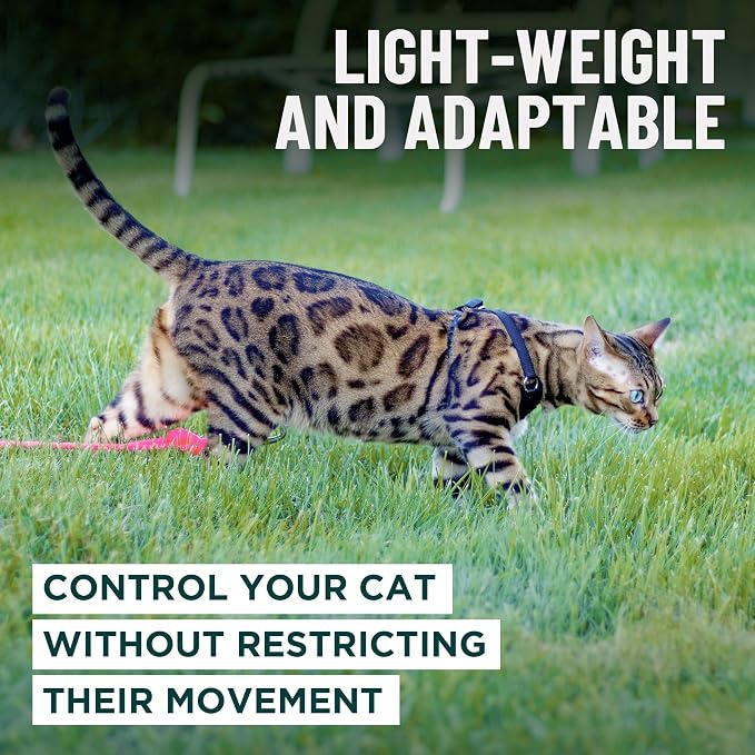 Houdini™ Escape Proof Cat Harness and Leash Set by OutdoorBengal – Turquoise - Image 7
