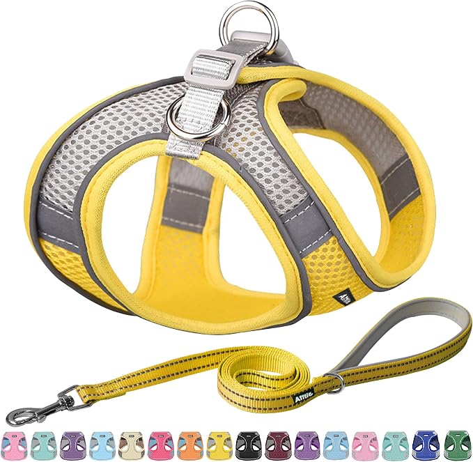 AIITLE Step in Dog Harness and Leash Set by AIITLE-FORPETSBETTERLIFE