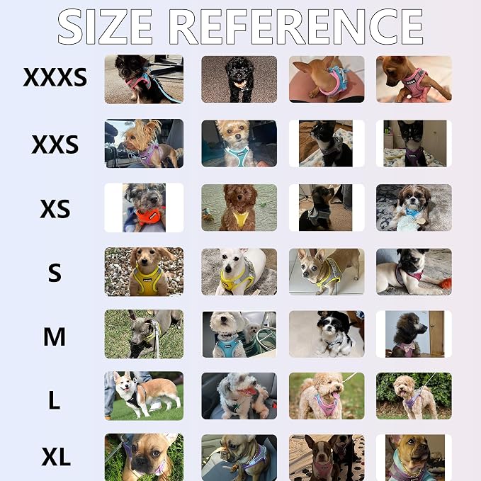 AIITLE No Pull Dog Harness and Leash Set, Step in Adjustable Dog Harness - Image 3