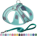 AIITLE Dog Harness, No-Pull Cat Harness by AIITLE-FORPETSBETTERLIFE