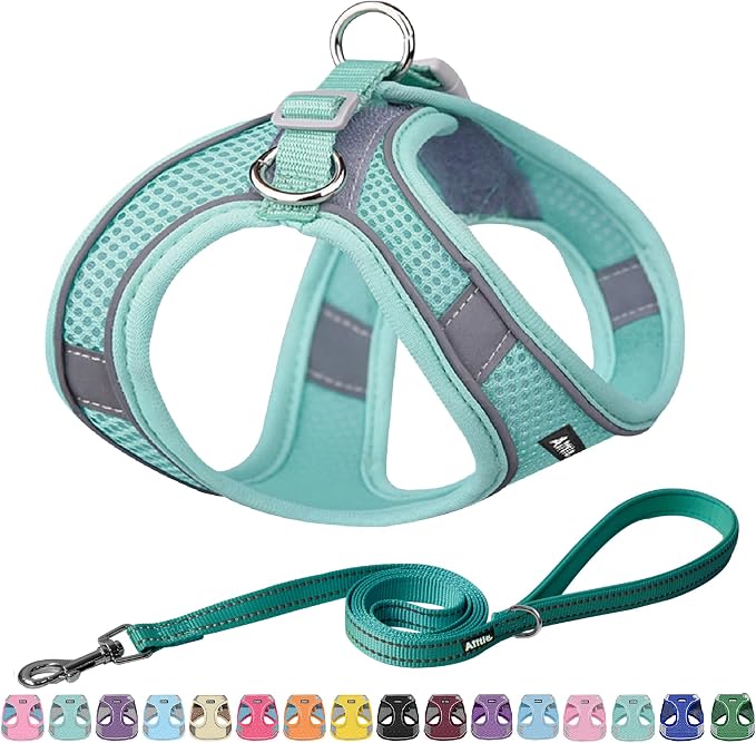 AIITLE Comfortable Dog Harness and Leash Set by AIITLE-FORPETSBETTERLIFE