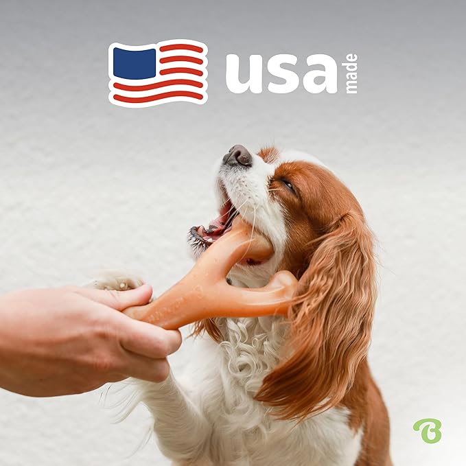 Benebone Peanut Butter Flavored Wishbone Chew Toy - Image 5