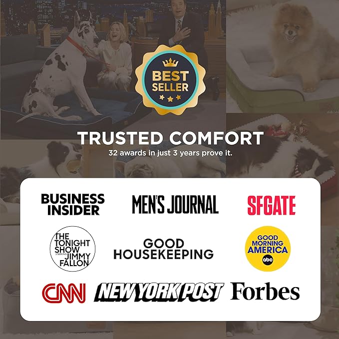 Bedsure Orthopedic Dog Beds for Extra Small Dogs- Washable Dog Cat Bed - Image 2