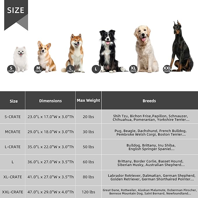 Small Dog Bed Sized Dogs, Orthopedic Flannel Pet Bed - Image 7