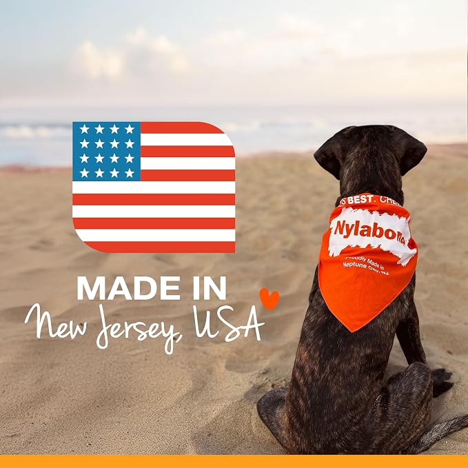Nylabone Original Bone Flexi Chew Toy - Image 10