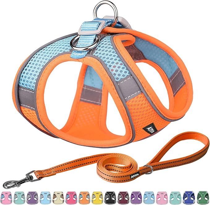 AIITLE Dog Harness, No-Pull Cat Harness by AIITLE-FORPETSBETTERLIFE