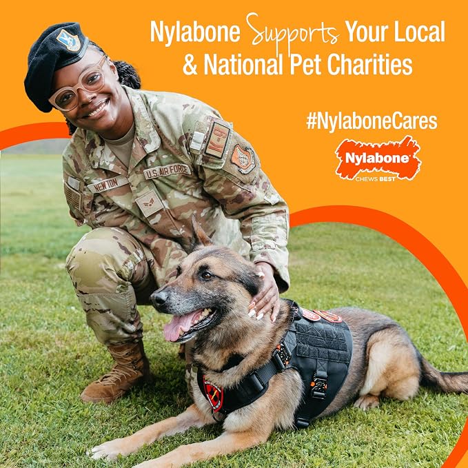 Nylabone Healthy Edibles Natural Dog Chews, Long Lasting Bones - Image 7